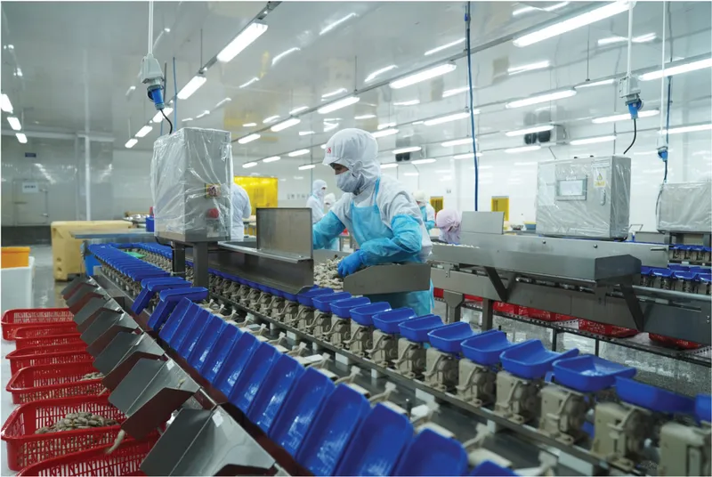Sản phẩm 1698235023 Untitled 1 02 — Công Ty TNHH Thông Thuận — MST 3400253480