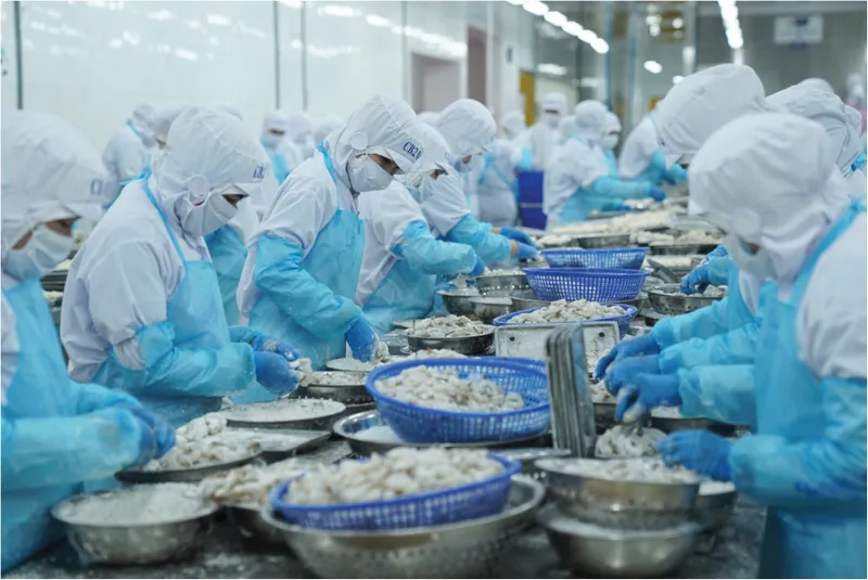 Sản phẩm 1698235023 Untitled 1 04 — Công Ty TNHH Thông Thuận — MST 3400253480