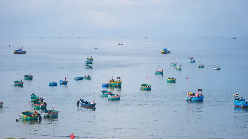 Sản phẩm Fisherman Village — Sailing Club Resort Mui Ne — MST 3400309503