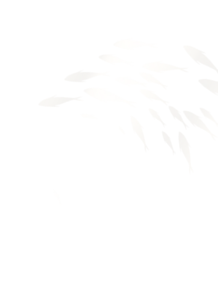 Sản phẩm decor fish top right — Công Ty Cổ Phần Nước Mắm Phan Thiết — MST 3400326033