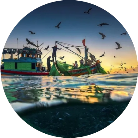 Sản phẩm demor img qt 1 — Công Ty Cổ Phần Nước Mắm Phan Thiết — MST 3400326033