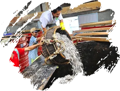 Sản phẩm demor img qt 2 — Công Ty Cổ Phần Nước Mắm Phan Thiết — MST 3400326033