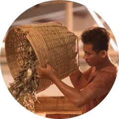 Sản phẩm gd 1 — Công Ty Cổ Phần Nước Mắm Phan Thiết — MST 3400326033