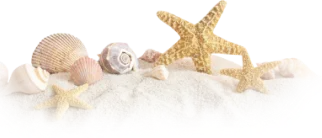 Sản phẩm decor service — Khu Du Lịch Malibu - Công Ty TNHH Du Lịch Hoa Biển I — MST 3400342892