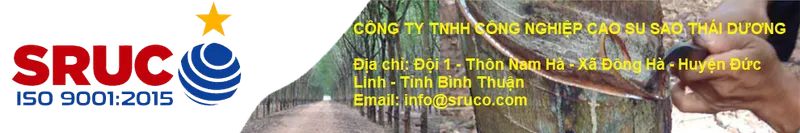 Sản phẩm scro — Cao Su Thái Dương - Công Ty TNHH Công Nghiệp Cao Su Sao Thái Dương — MST 3400759661