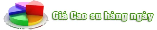Sản phẩm tieude — Cao Su Thái Dương - Công Ty TNHH Công Nghiệp Cao Su Sao Thái Dương — MST 3400759661
