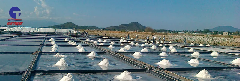Sản phẩm slide1 — Công Ty Trách Nhiệm Hữu Hạn Muối & Thương Mại Gia Thịnh — MST 3400895047