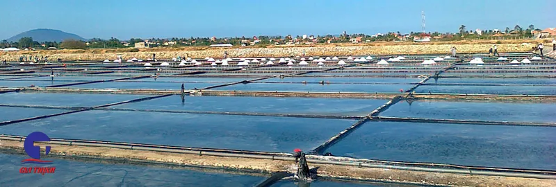 Sản phẩm slide2 — Công Ty Trách Nhiệm Hữu Hạn Muối & Thương Mại Gia Thịnh — MST 3400895047