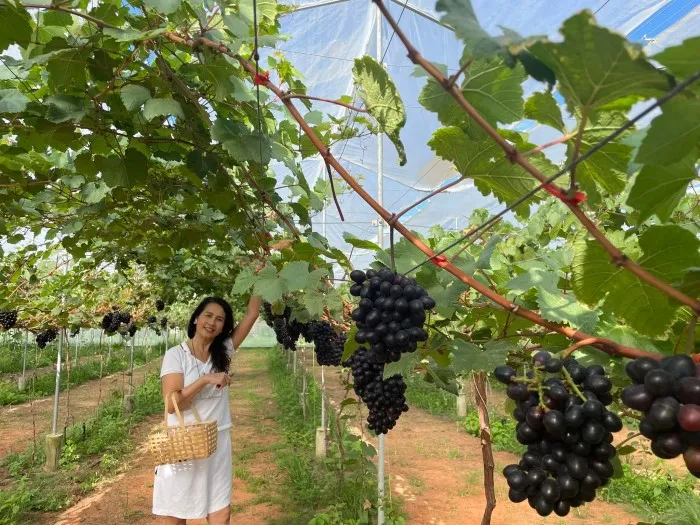 Sản phẩm 279607633_5239278109463492_8521362036448907773_n — Công Ty TNHH Truyền Thông Sự Kiện Và Du Lịch Bờ Cát Vàng — MST 3401075664