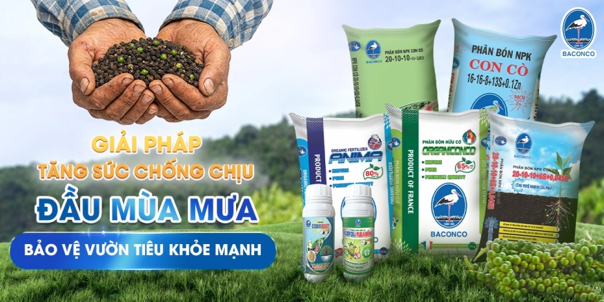 Sản phẩm 80190cdd90d1d9205b8b4ce7c5ae4382d47639b8 — Công Ty Trách Nhiệm Hữu Hạn Baconco — MST 3500101065