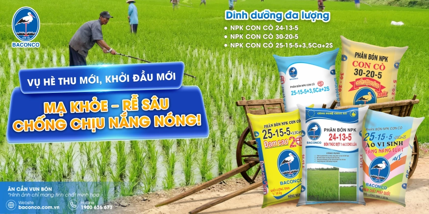 Sản phẩm b1ef8e553947e6dbefb6cc90d1a652510ba58936 — Công Ty Trách Nhiệm Hữu Hạn Baconco — MST 3500101065