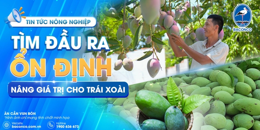 Sản phẩm d0c62acae9af9e84ca2525d35d0cf91f37c4e507 — Công Ty Trách Nhiệm Hữu Hạn Baconco — MST 3500101065