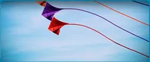 Sản phẩm dvkhac — Công Ty Cổ Phần Dịch Vụ Du Lịch Dầu Khí Việt Nam — MST 3500101844