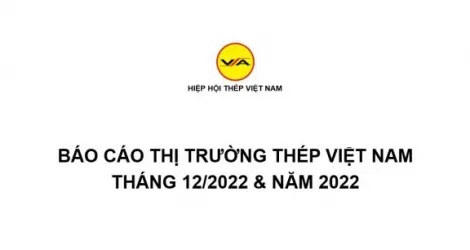 Sản phẩm tinh hinh thi truong thep viet nam thang 122022 va nam 2022 1675127542 — Công Ty TNHH Thép Vina Kyoei — MST 3500106761