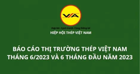 Sản phẩm tinh hinh thi truong thep viet nam thang 62023 va 6 thang dau nam 2023 1691723208 — Công Ty TNHH Thép Vina Kyoei — MST 3500106761