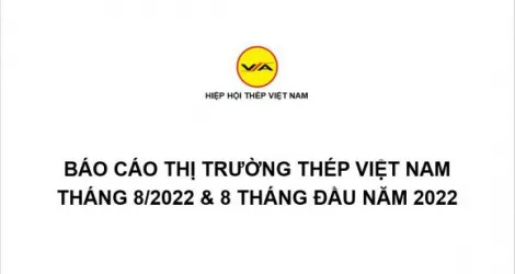 Sản phẩm tinh hinh thi truong thep viet nam thang 82022 va 8 thang dau nam 2022 1663896379 — Công Ty TNHH Thép Vina Kyoei — MST 3500106761