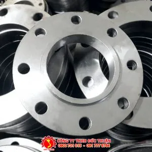 Sản phẩm mat bich ansi150 ava 300x300 — Công Ty TNHH Đức Thuận — MST 3500319985