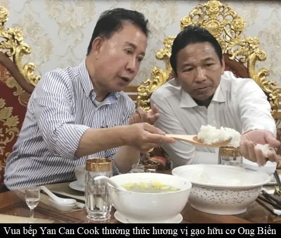 Sản phẩm 22164035451323yan can cook — Công Ty Trách Nhiệm Hữu Hạn Sản Xuất Thương Mại Đại Nam — MST 3500395425
