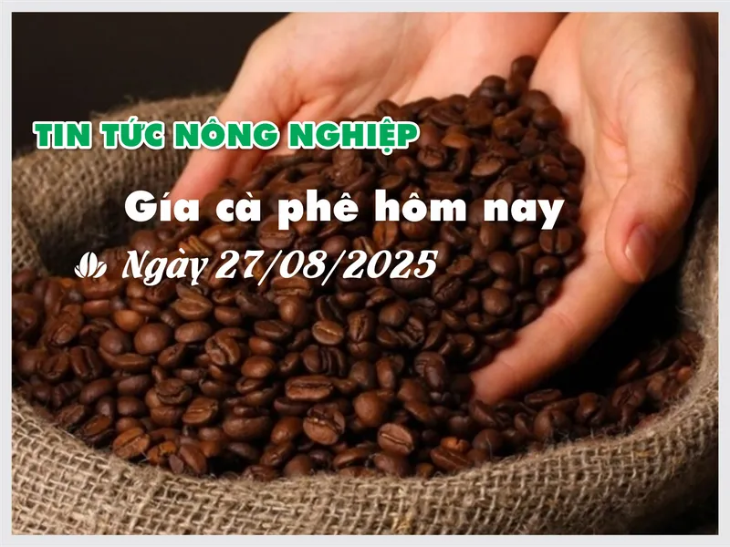 Sản phẩm 43 — Công Ty Trách Nhiệm Hữu Hạn Sản Xuất Thương Mại Đại Nam — MST 3500395425