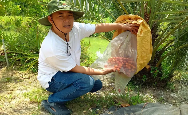 Sản phẩm anh 1 2 151035_160 095404 — Công Ty Trách Nhiệm Hữu Hạn Sản Xuất Thương Mại Đại Nam — MST 3500395425