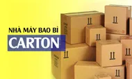 Sản phẩm ob_cartonvn — Công Ty Trách Nhiệm Hữu Hạn Sản Xuất Thương Mại Đại Nam — MST 3500395425
