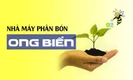 Sản phẩm ob_ongbienvn — Công Ty Trách Nhiệm Hữu Hạn Sản Xuất Thương Mại Đại Nam — MST 3500395425
