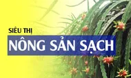 Sản phẩm ob_sieuthivn — Công Ty Trách Nhiệm Hữu Hạn Sản Xuất Thương Mại Đại Nam — MST 3500395425
