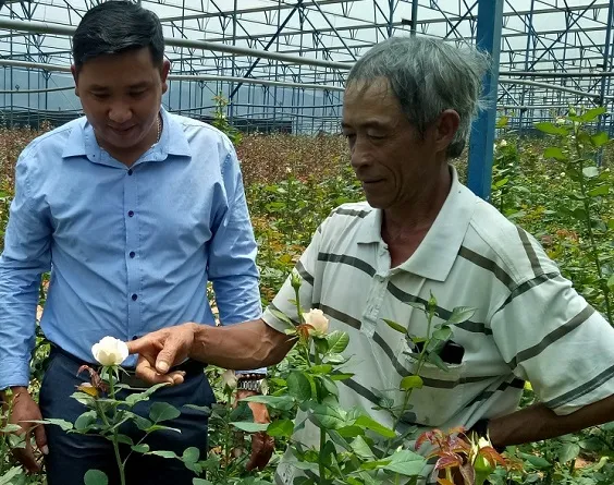 Sản phẩm xai ong bien giai bai toan kinh te — Công Ty Trách Nhiệm Hữu Hạn Sản Xuất Thương Mại Đại Nam — MST 3500395425