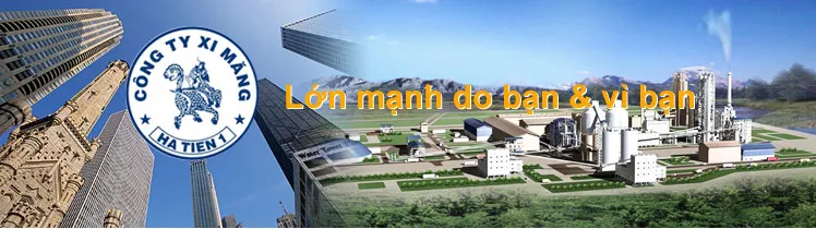 Sản phẩm lgoo 4755 — Công Ty TNHH Chấn Long — MST 3500442146