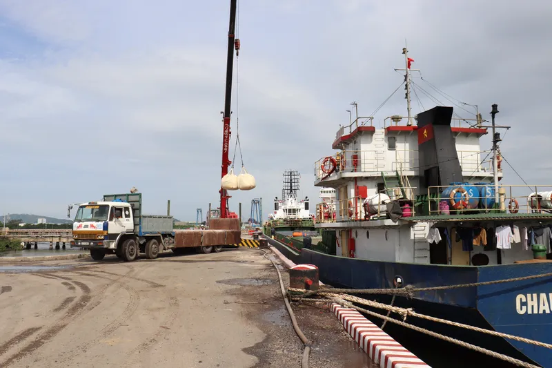Sản phẩm IMG_0015 min — Công Ty Cổ Phần Thương Cảng Vũng Tàu — MST 3500561432