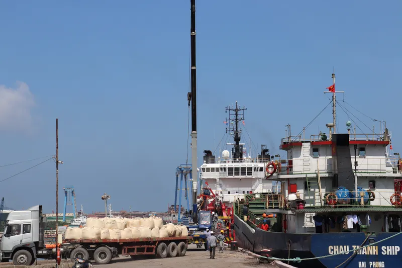 Sản phẩm IMG_0057 min — Công Ty Cổ Phần Thương Cảng Vũng Tàu — MST 3500561432