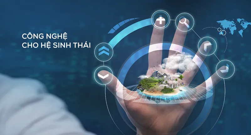 Sản phẩm B 1 — Công Ty Cổ Phần Bò Kạp — MST 3500636695