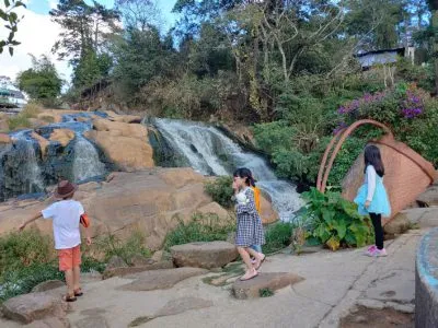 Sản phẩm images2273607_T7a 400x300 — Công Ty Cổ Phần Bò Kạp — MST 3500636695
