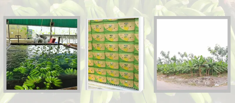 Sản phẩm hinhmoi — Công Ty Cổ Phần Sản Xuất Và Thương Mại Trường Tồn — MST 3500642931