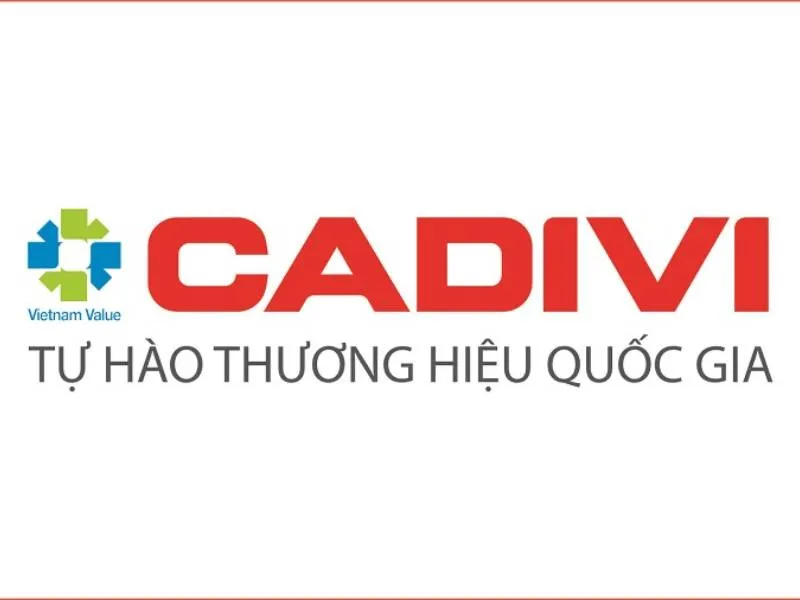 Sản phẩm bao gia day cap dien cadivi cua viet long power hinh1 — Nhà Thầu Xây Dựng Đất Núi - Công Ty TNHH Thiết Kế - Xây Dựng Đất Núi — MST 3500739789