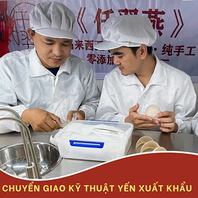 Sản phẩm 3 — Yến Sào Trung Nam — MST 3501029541