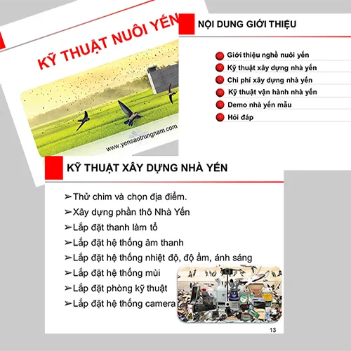 Sản phẩm kythuat1 — Yến Sào Trung Nam — MST 3501029541