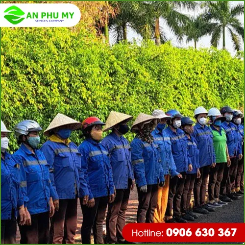 Sản phẩm 22 — Dịch Vụ Cây Xanh An Phú Mỹ - Công Ty TNHH Dịch Vụ Công Nghiệp An Phú Mỹ — MST 3502014442