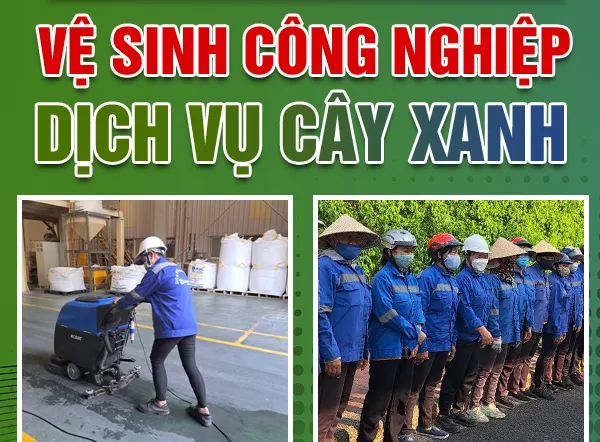 Sản phẩm GT111 — Dịch Vụ Cây Xanh An Phú Mỹ - Công Ty TNHH Dịch Vụ Công Nghiệp An Phú Mỹ — MST 3502014442