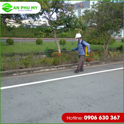 Sản phẩm thay 1 — Dịch Vụ Cây Xanh An Phú Mỹ - Công Ty TNHH Dịch Vụ Công Nghiệp An Phú Mỹ — MST 3502014442