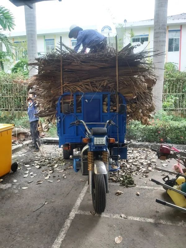 Sản phẩm z4347138261627_f1a6a8594703a09fa30344fa844c6031 — Dịch Vụ Cây Xanh An Phú Mỹ - Công Ty TNHH Dịch Vụ Công Nghiệp An Phú Mỹ — MST 3502014442