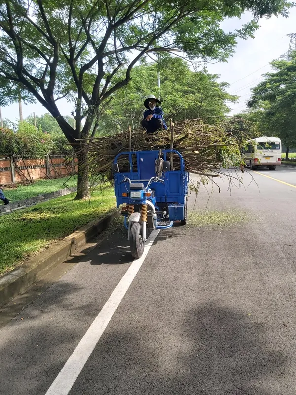Sản phẩm z4347138330747_ed3bc4d0bb471db056b398b71a354434 — Dịch Vụ Cây Xanh An Phú Mỹ - Công Ty TNHH Dịch Vụ Công Nghiệp An Phú Mỹ — MST 3502014442