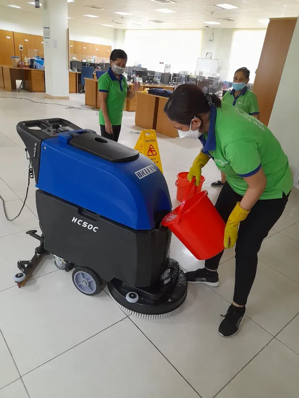 Sản phẩm z4377989833814_e0a4df4e332e54254dccb6e3f4c6c247 — Dịch Vụ Cây Xanh An Phú Mỹ - Công Ty TNHH Dịch Vụ Công Nghiệp An Phú Mỹ — MST 3502014442