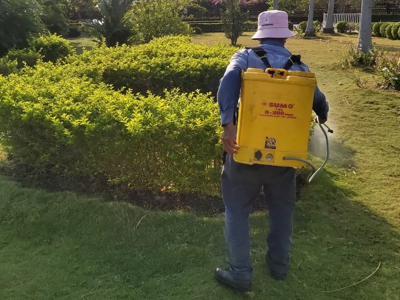 Sản phẩm z4377989863960_2652f5db00374b0b107f275299a10017 — Dịch Vụ Cây Xanh An Phú Mỹ - Công Ty TNHH Dịch Vụ Công Nghiệp An Phú Mỹ — MST 3502014442