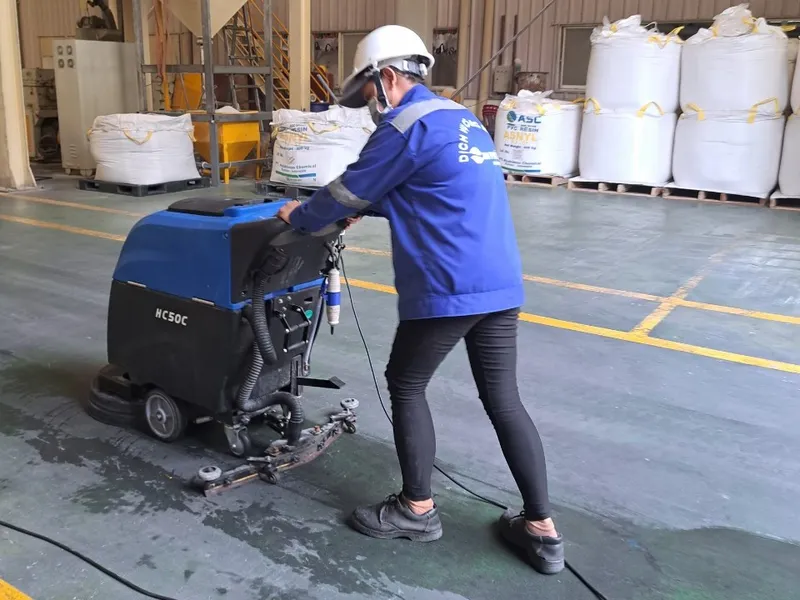 Sản phẩm z4377989886085_99169e1b1a0ea833b3360d031f00cba0 — Dịch Vụ Cây Xanh An Phú Mỹ - Công Ty TNHH Dịch Vụ Công Nghiệp An Phú Mỹ — MST 3502014442
