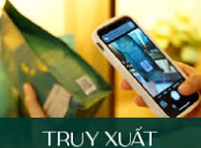 Sản phẩm truy xuat 4482 — Công Ty TNHH Giải Pháp Và Công Nghệ Sao Việt — MST 3502070983