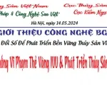 Sản phẩm untitled 2 8379 — Công Ty TNHH Giải Pháp Và Công Nghệ Sao Việt — MST 3502070983