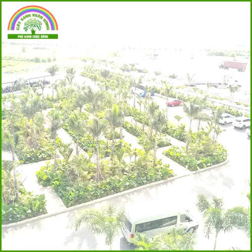 Sản phẩm cham soc 1 — Cây Xanh Xuân Hồng - Công Ty Trách Nhiệm Hữu Hạn Cây Xanh Xuân Hồng — MST 3502273373