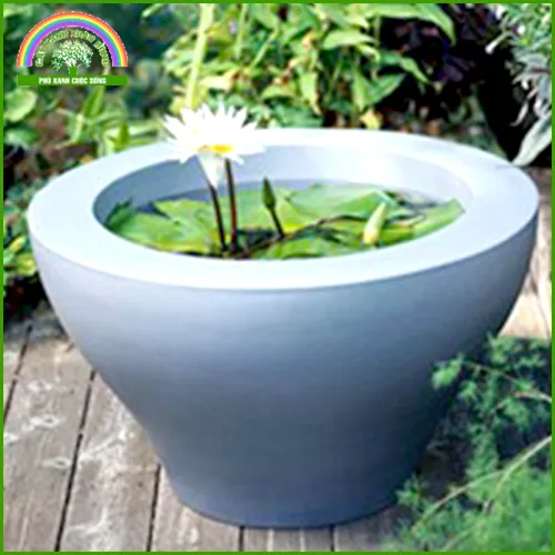 Sản phẩm hoa sÃºng — Cây Xanh Xuân Hồng - Công Ty Trách Nhiệm Hữu Hạn Cây Xanh Xuân Hồng — MST 3502273373