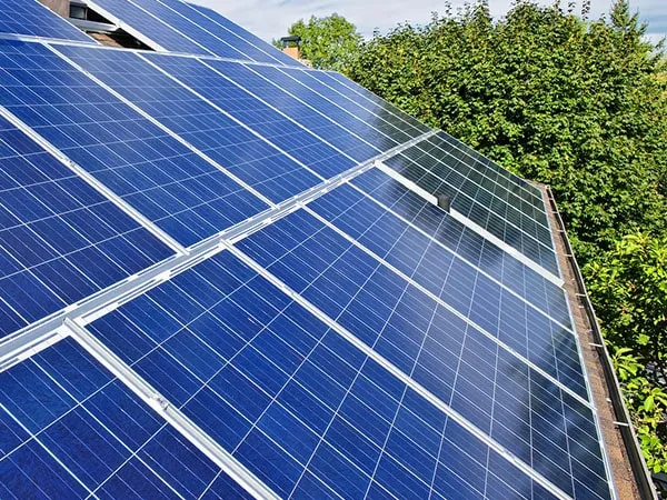 Sản phẩm dien mat troi hoa luoi min — Quang Minh Solar - Công Ty TNHH TM DV Viễn Thông Quang Minh Vũng Tàu — MST 3502280028